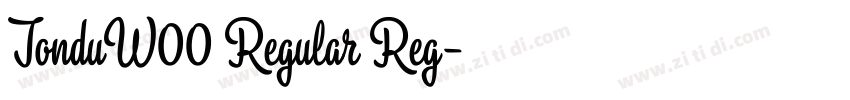 TonduW00 Regular Reg字体转换